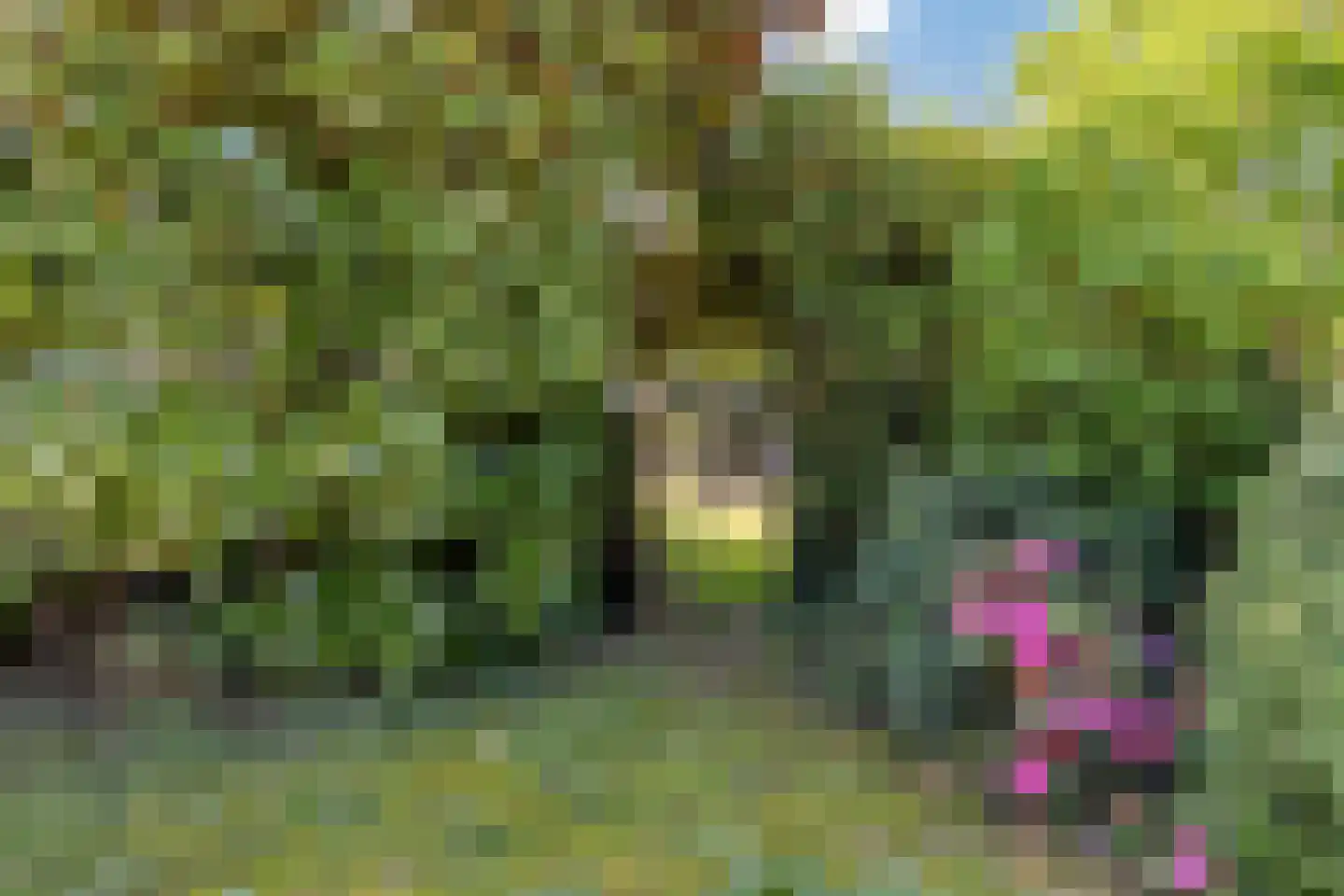 Julianalaan 2 a Nieuwlande thumbnail 34