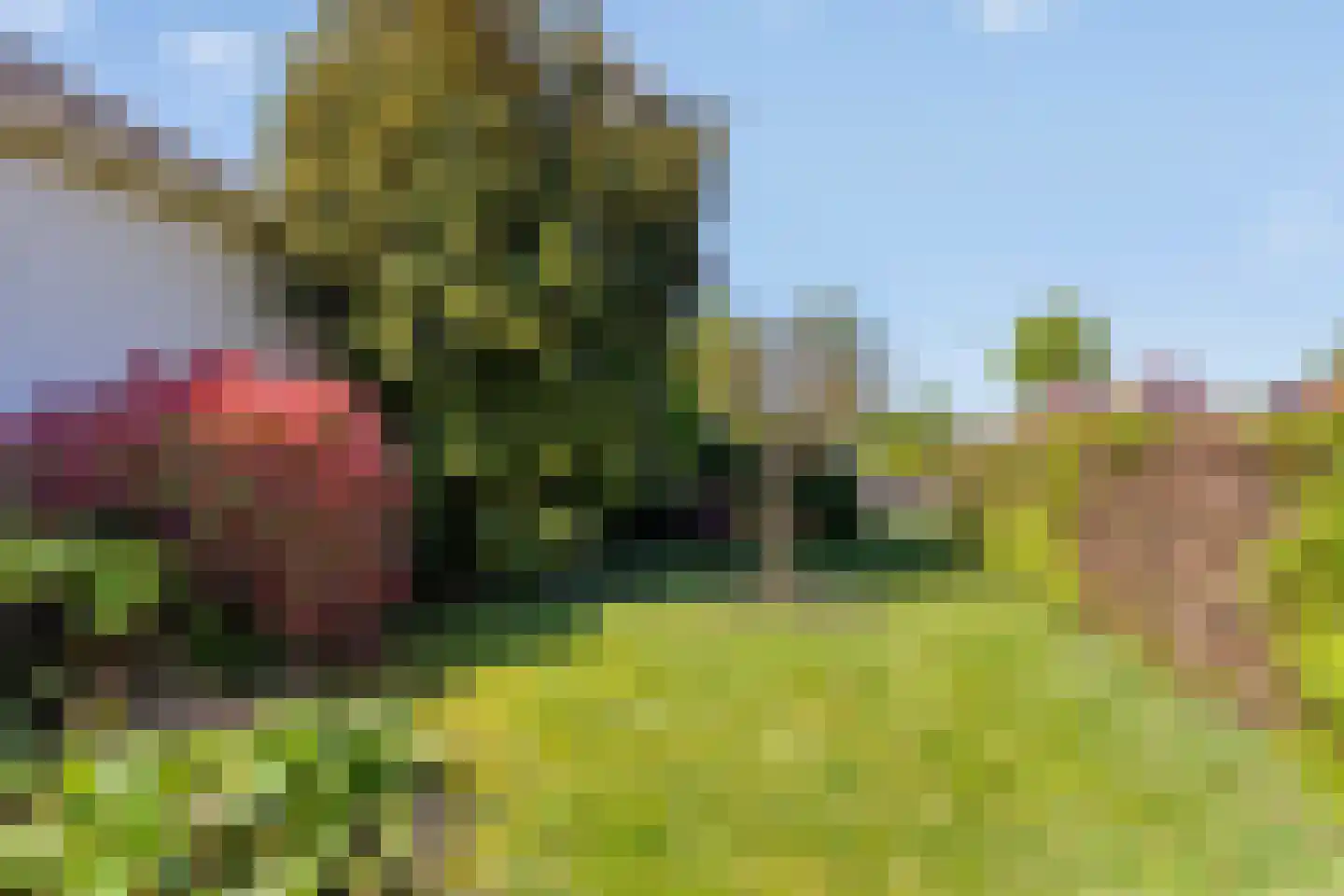 Julianalaan 2 a Nieuwlande thumbnail 35