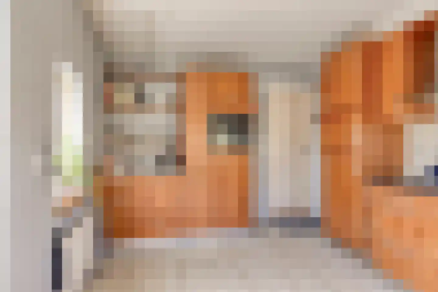 Julianalaan 2 a Nieuwlande thumbnail 9