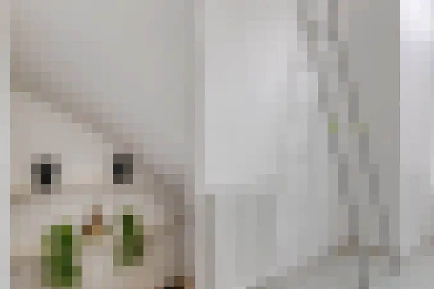Julianalaan 2 B Delft thumbnail 15
