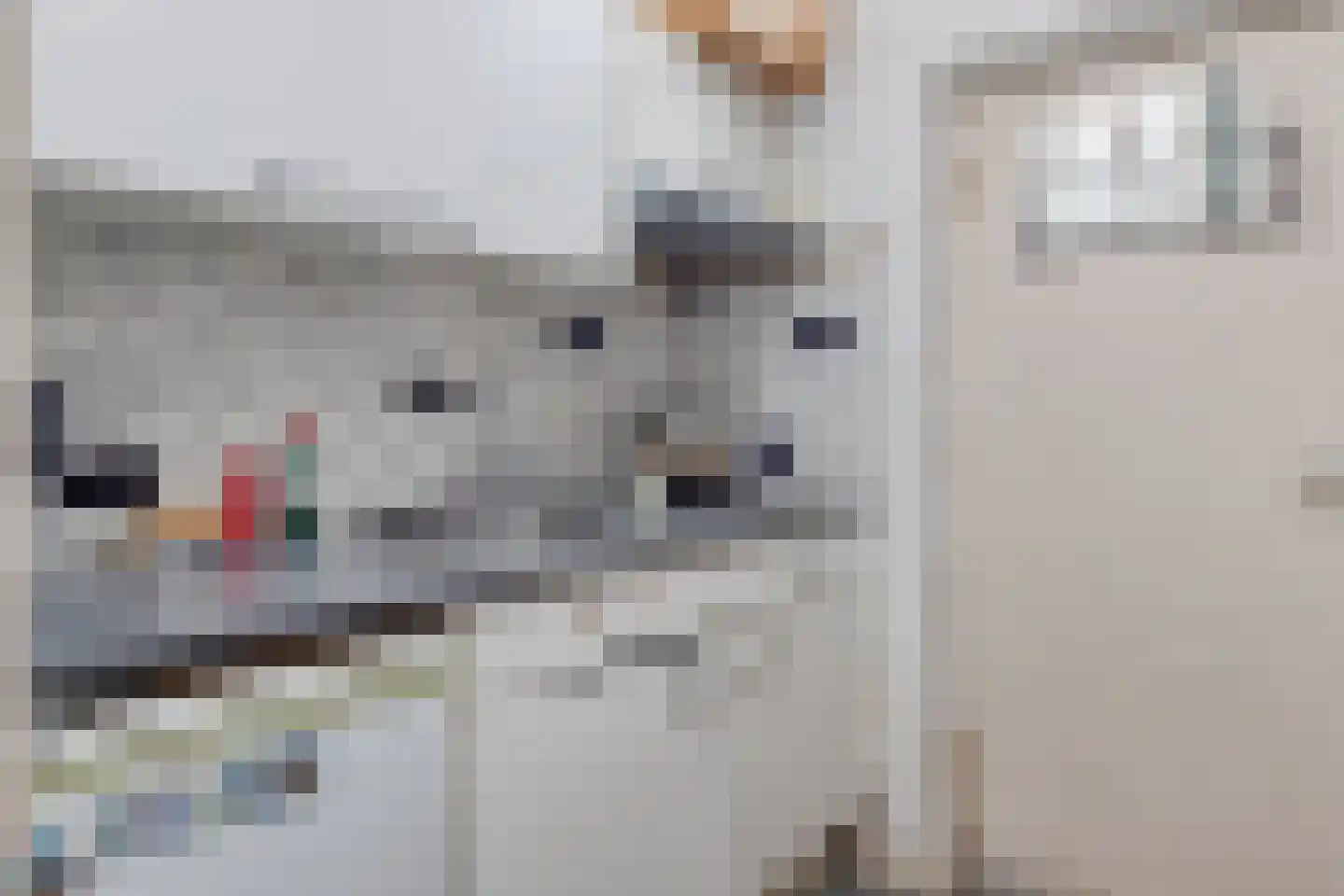 Julianalaan 2 B Delft thumbnail 17