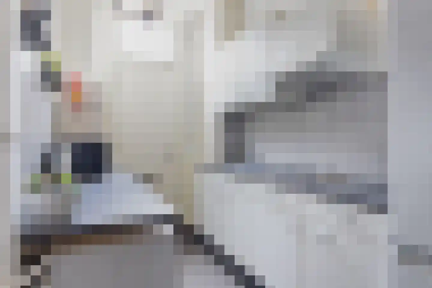 Julianalaan 2 B Delft thumbnail 5