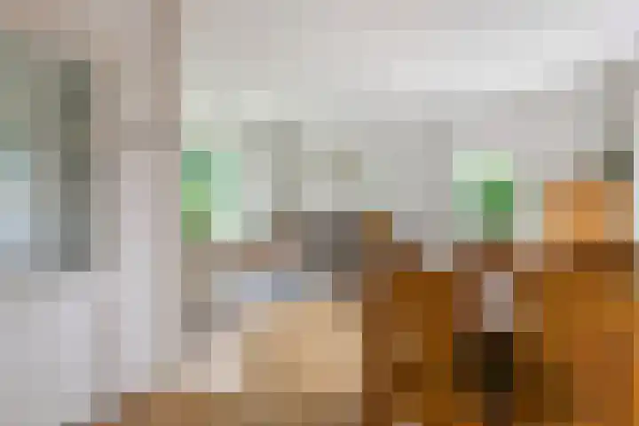 Julianalaan 2 Buren thumbnail 12