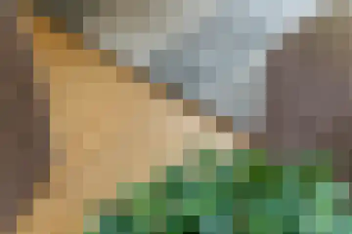 Julianalaan 2 Buren thumbnail 13