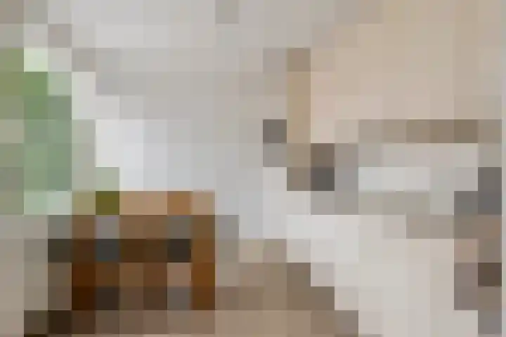 Julianalaan 2 Buren thumbnail 15