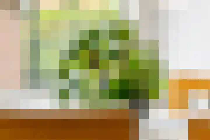 Julianalaan 2 Buren thumbnail 16