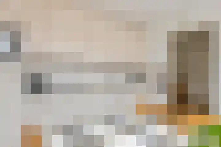 Julianalaan 2 Buren thumbnail 18