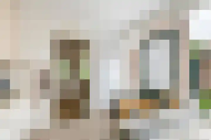 Julianalaan 2 Buren thumbnail 20