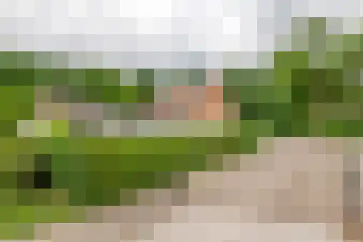 Julianalaan 2 Buren thumbnail 21