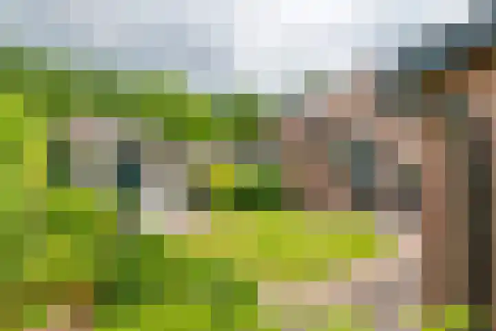 Julianalaan 2 Buren thumbnail 25