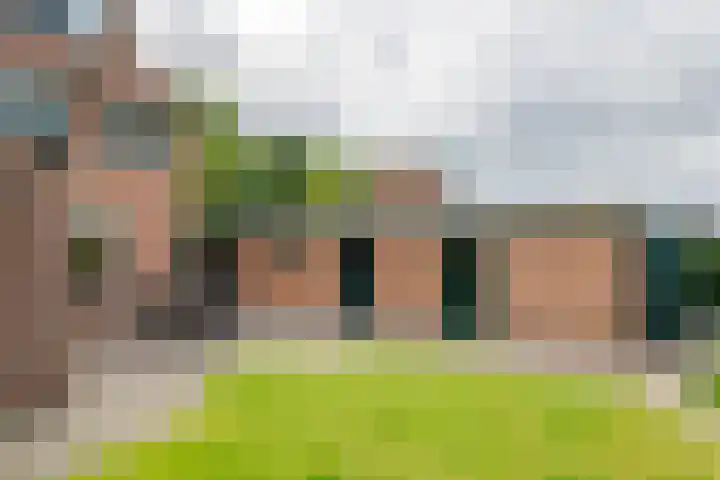 Julianalaan 2 Buren thumbnail 28