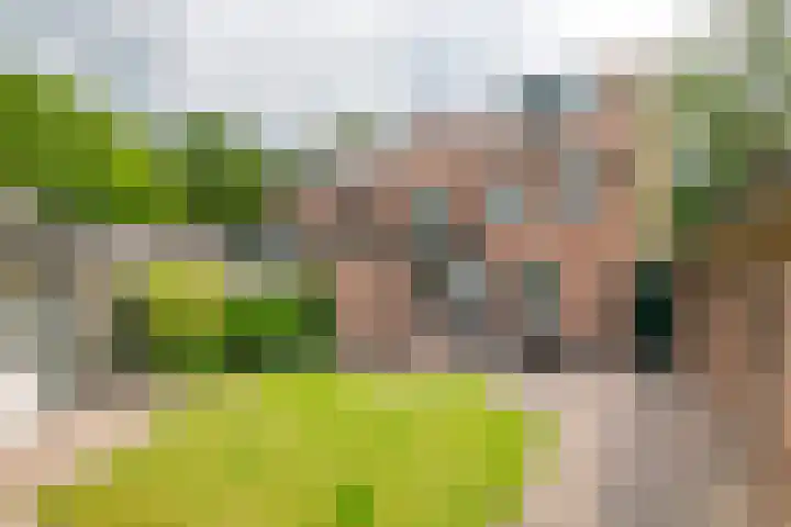 Julianalaan 2 Buren foto 3