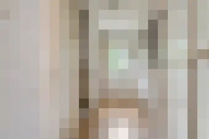 Julianalaan 2 Buren thumbnail 30