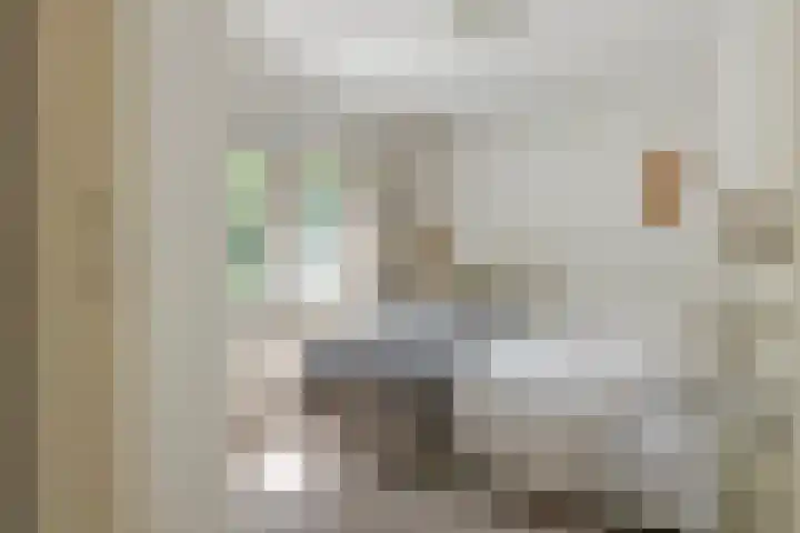 Julianalaan 2 Buren thumbnail 35