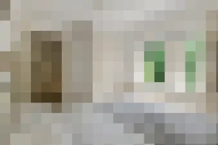 Julianalaan 2 Buren thumbnail 36
