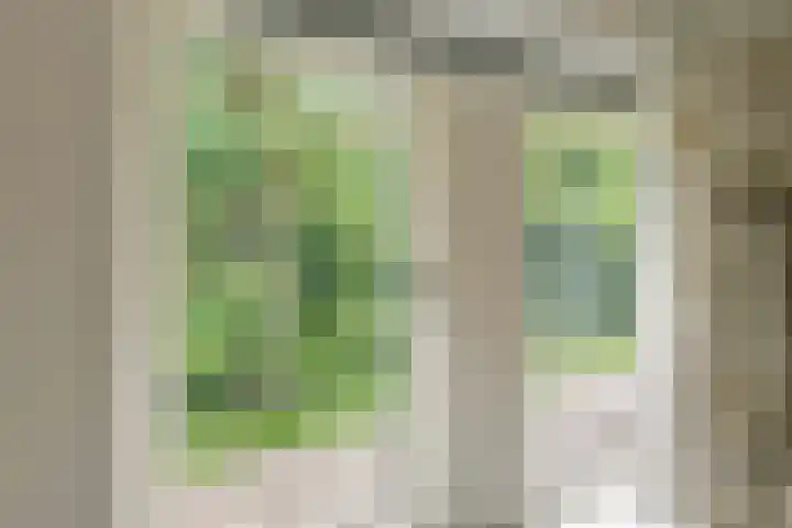 Julianalaan 2 Buren thumbnail 37