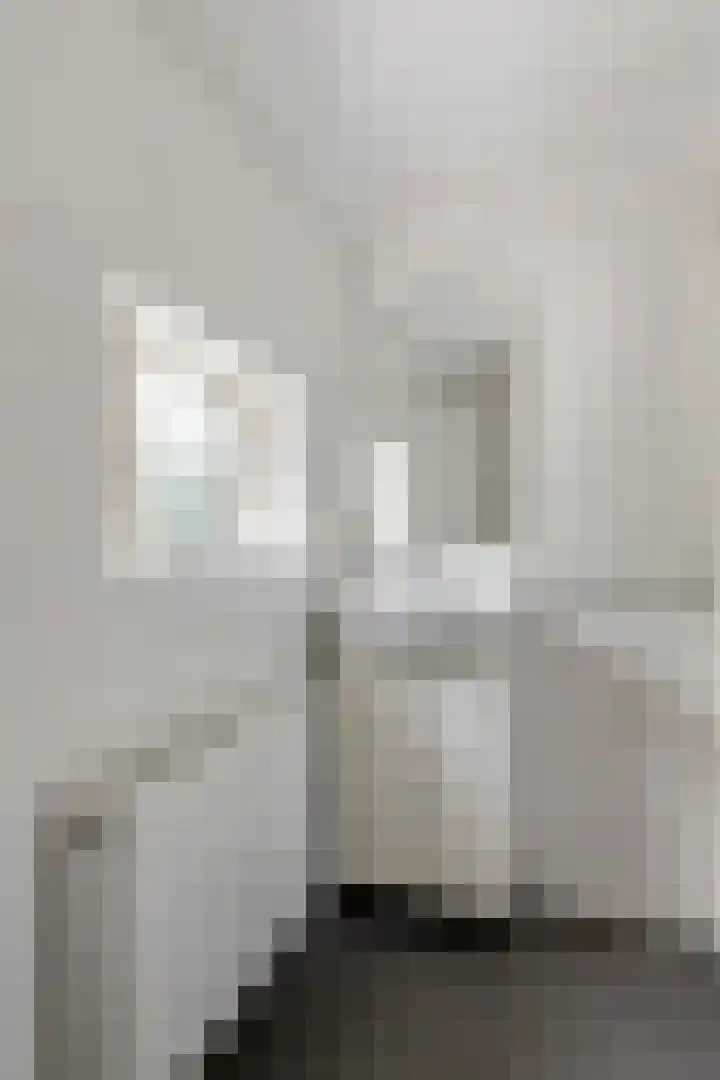 Julianalaan 2 Buren thumbnail 39