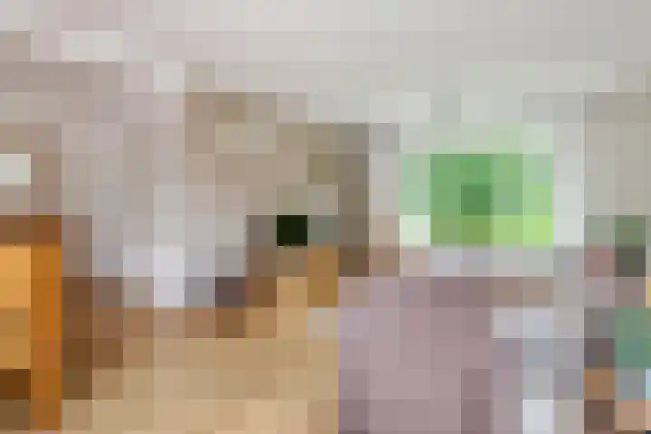 Julianalaan 2 Buren thumbnail 4
