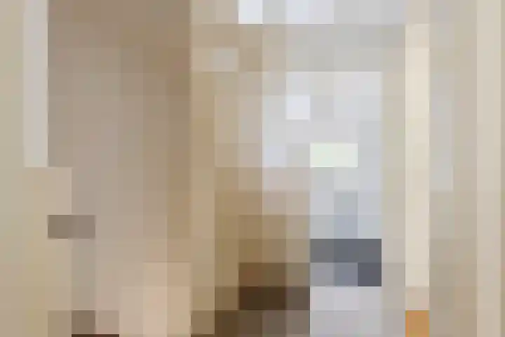 Julianalaan 2 Buren thumbnail 40