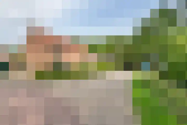 Julianalaan 2 Buren thumbnail 46