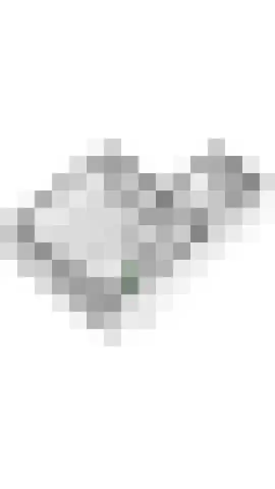Julianalaan 2 Buren thumbnail 49