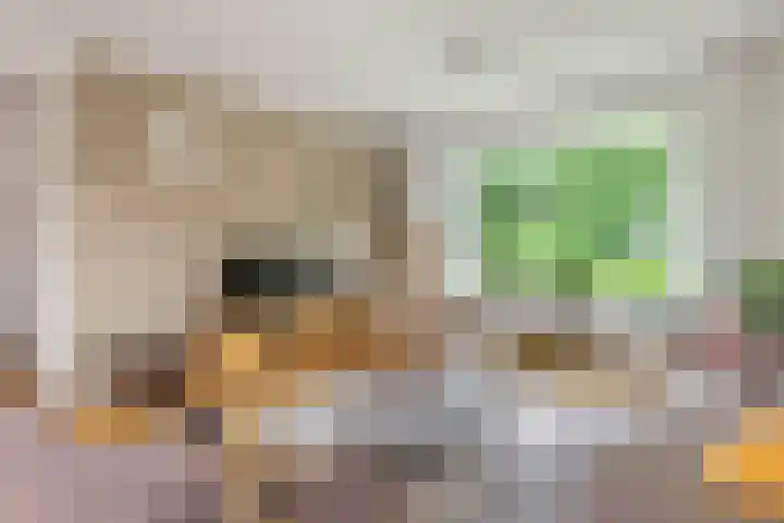 Julianalaan 2 Buren thumbnail 5