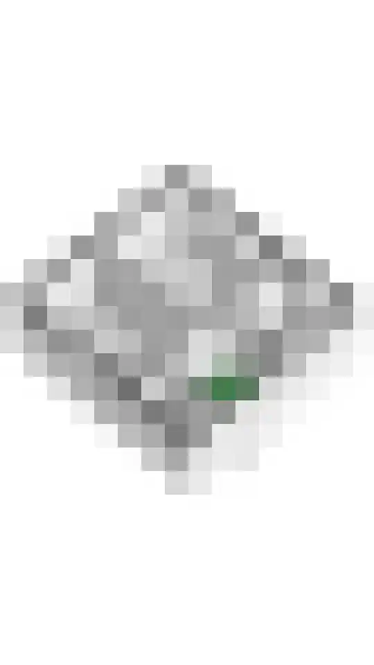Julianalaan 2 Buren thumbnail 51