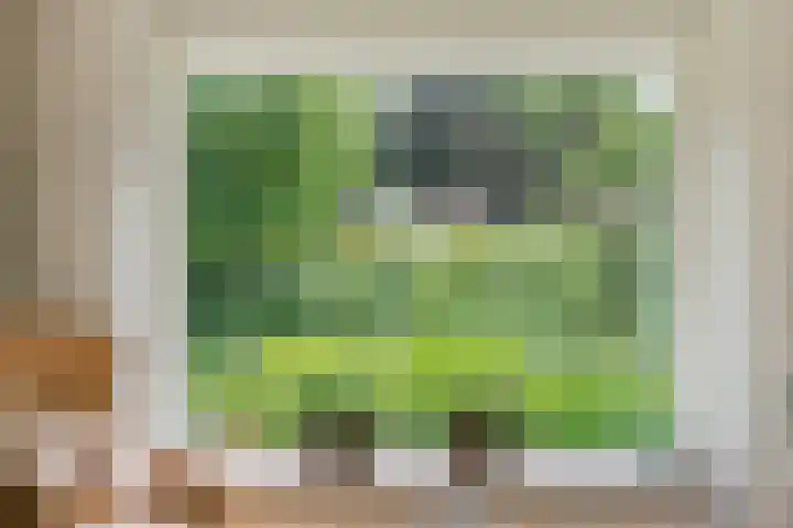Julianalaan 2 Buren thumbnail 6
