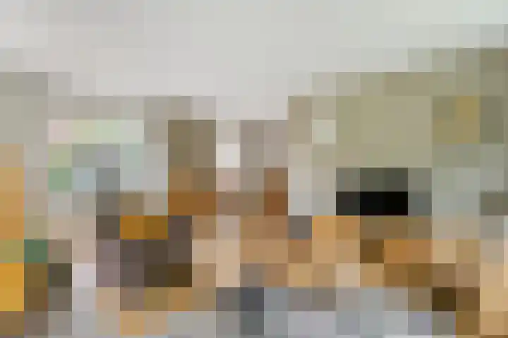 Julianalaan 2 Buren thumbnail 7