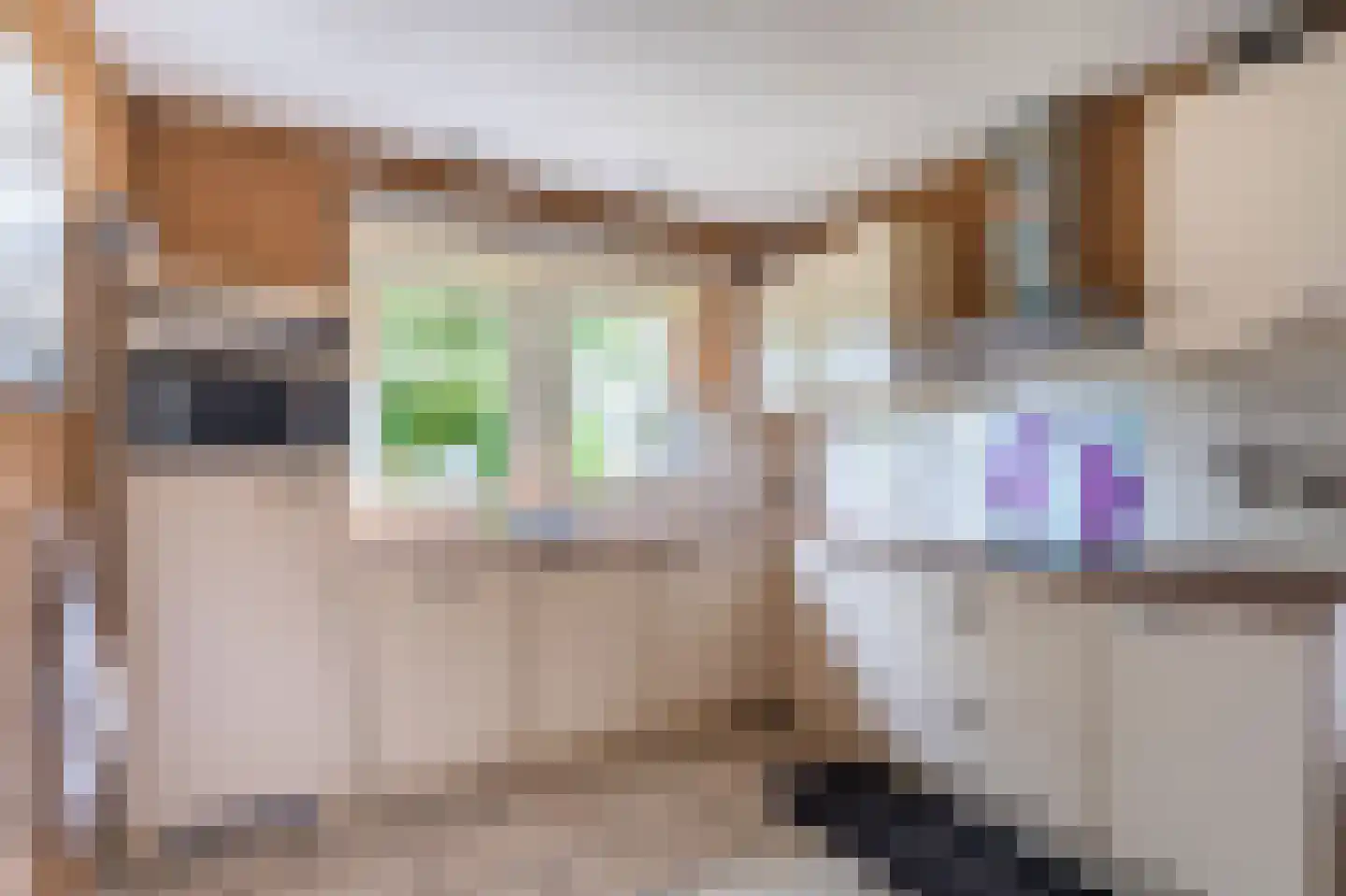 Julianalaan 2 Scheemda thumbnail 10
