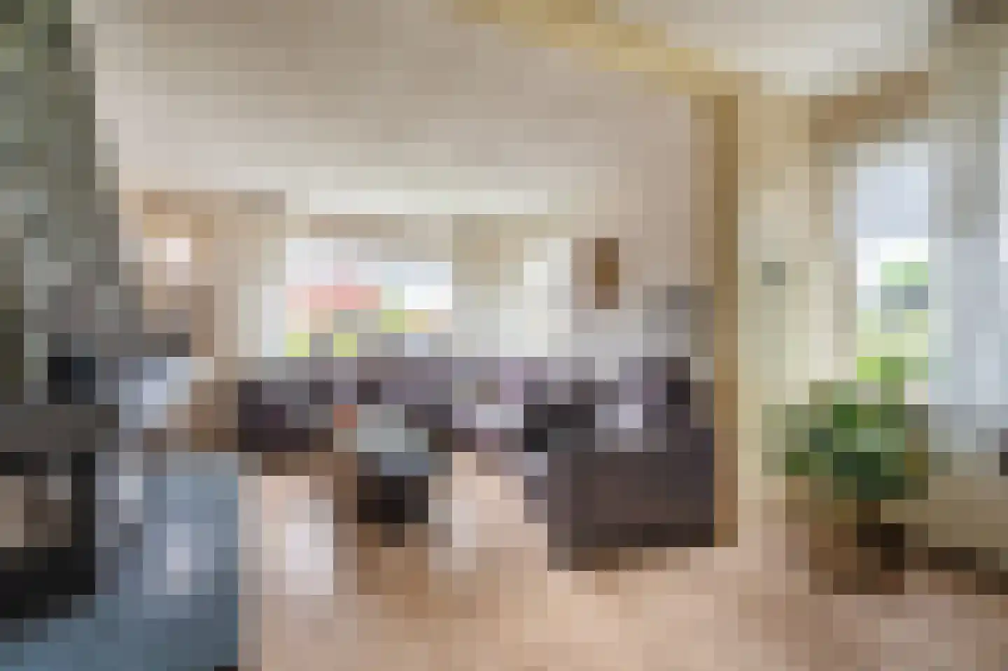 Julianalaan 2 Scheemda thumbnail 14