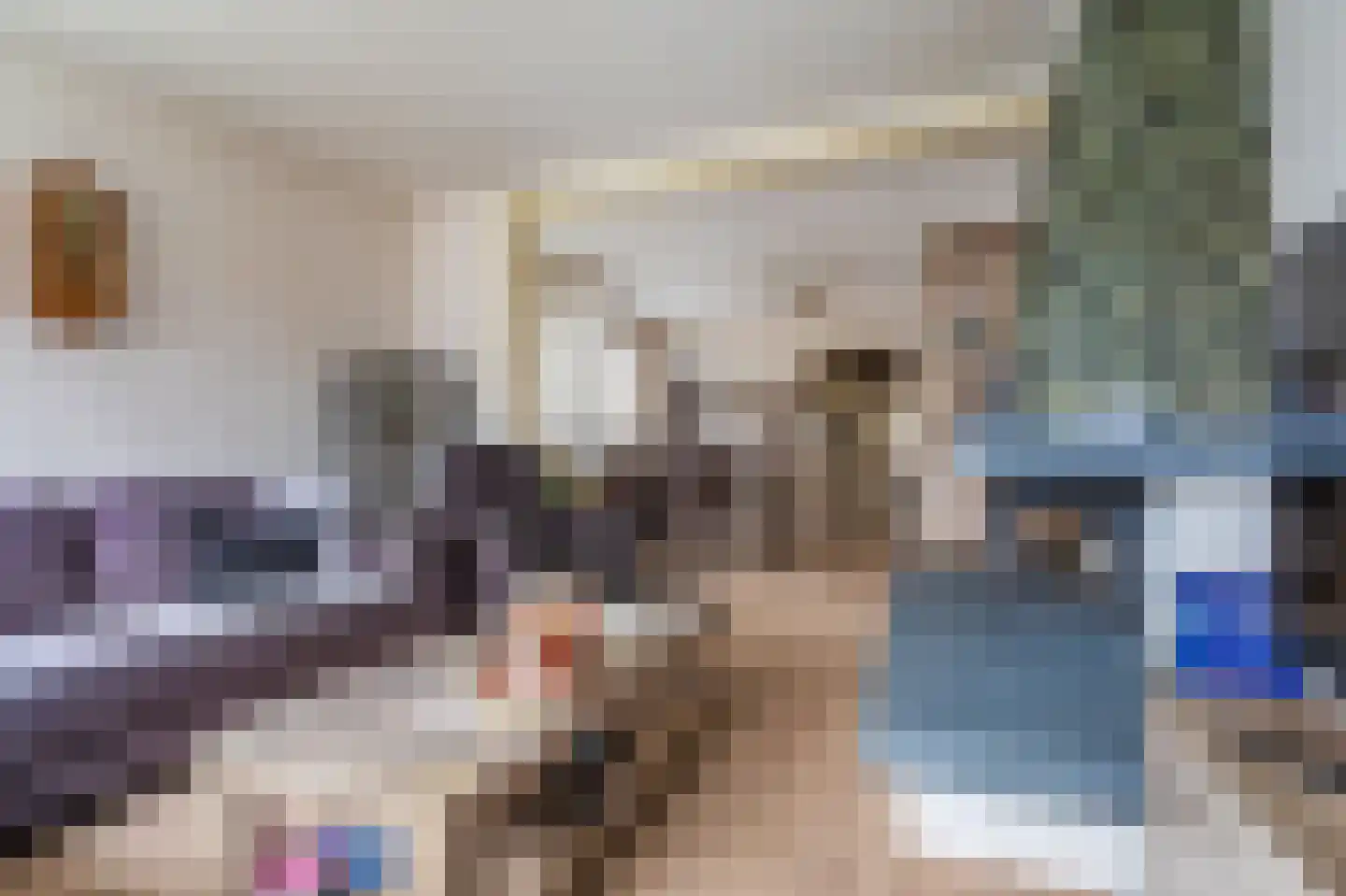 Julianalaan 2 Scheemda thumbnail 17
