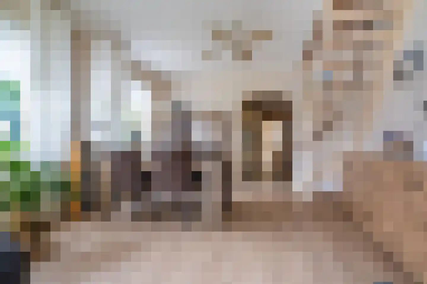 Julianalaan 2 Scheemda thumbnail 18