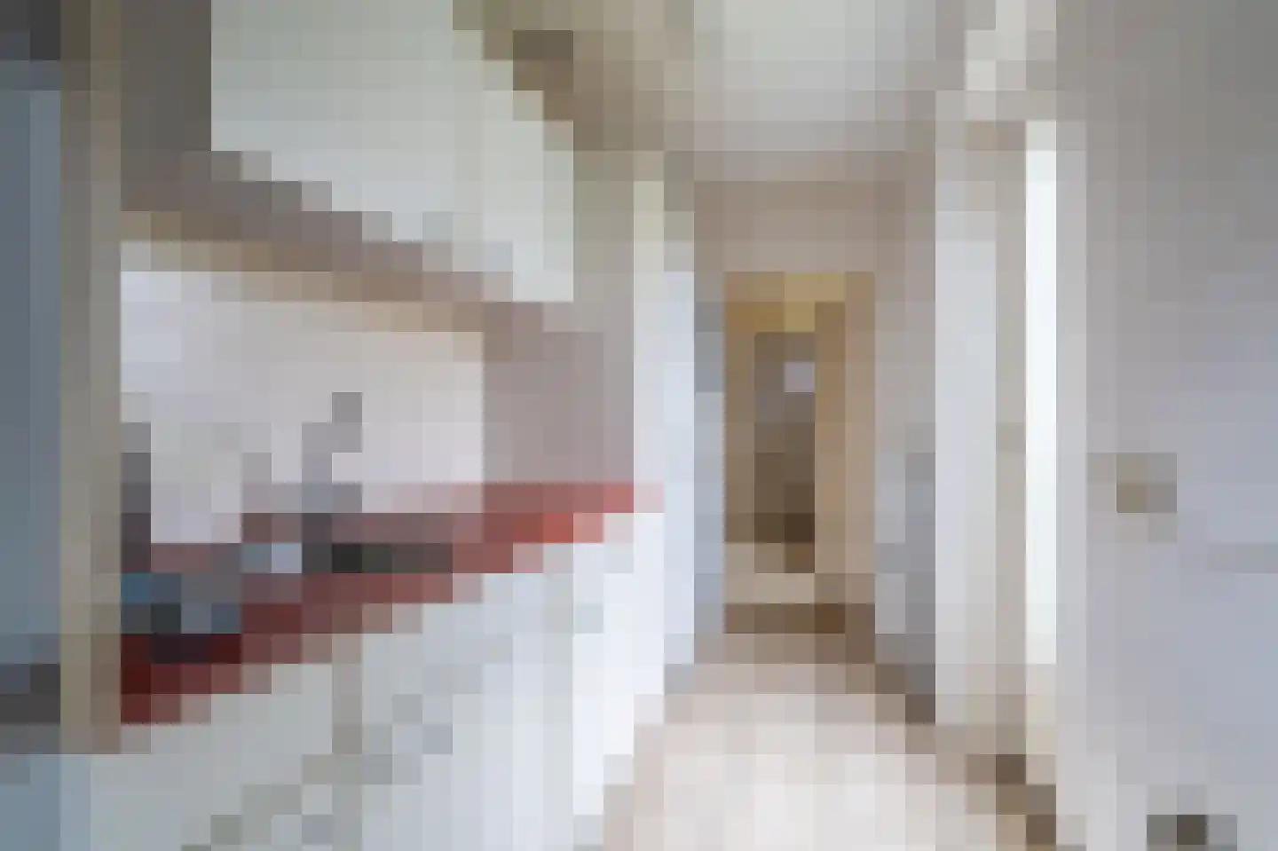 Julianalaan 2 Scheemda thumbnail 23