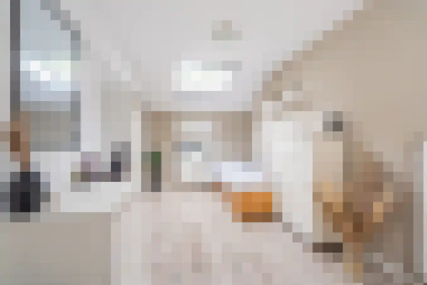 Julianalaan 2 Scheemda thumbnail 24