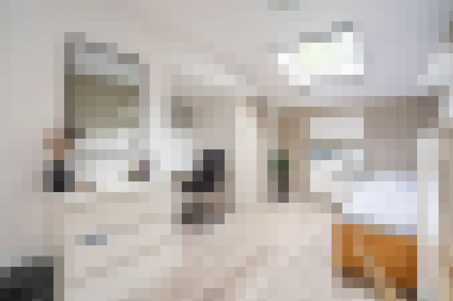 Julianalaan 2 Scheemda thumbnail 25
