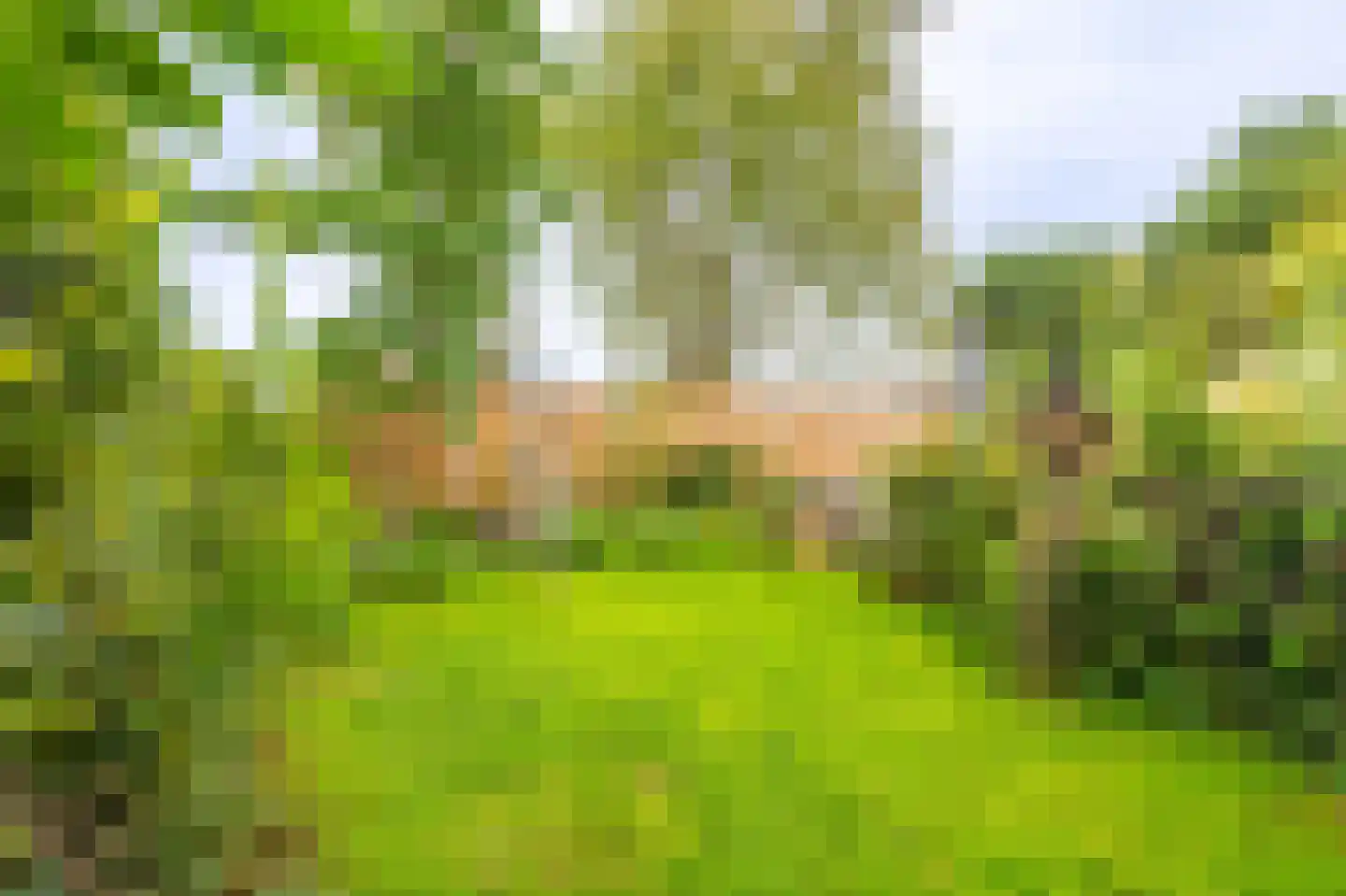 Julianalaan 2 Scheemda thumbnail 39