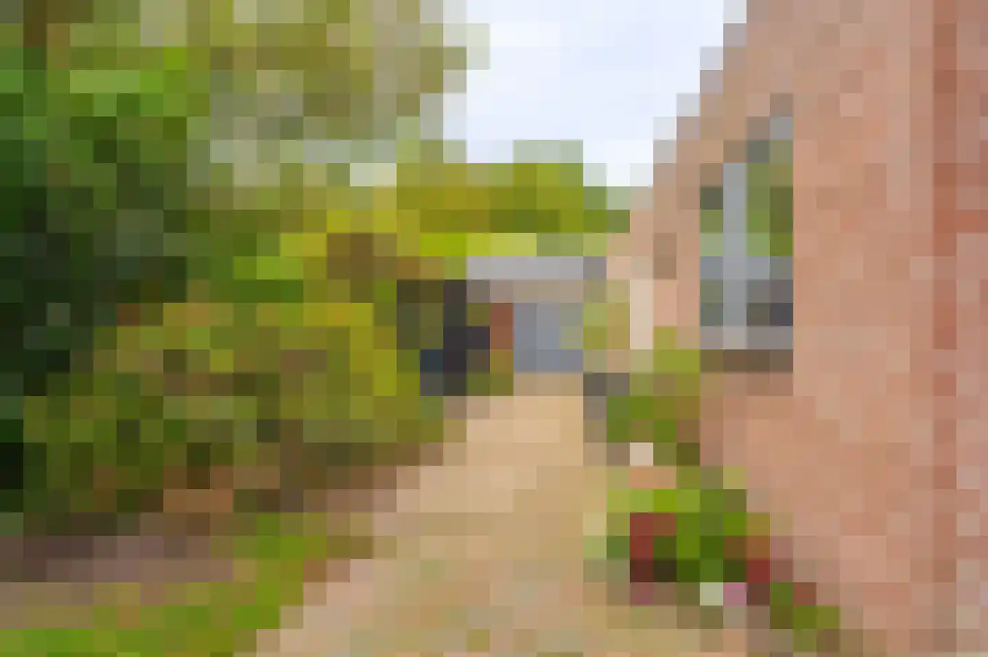 Julianalaan 2 Scheemda thumbnail 4