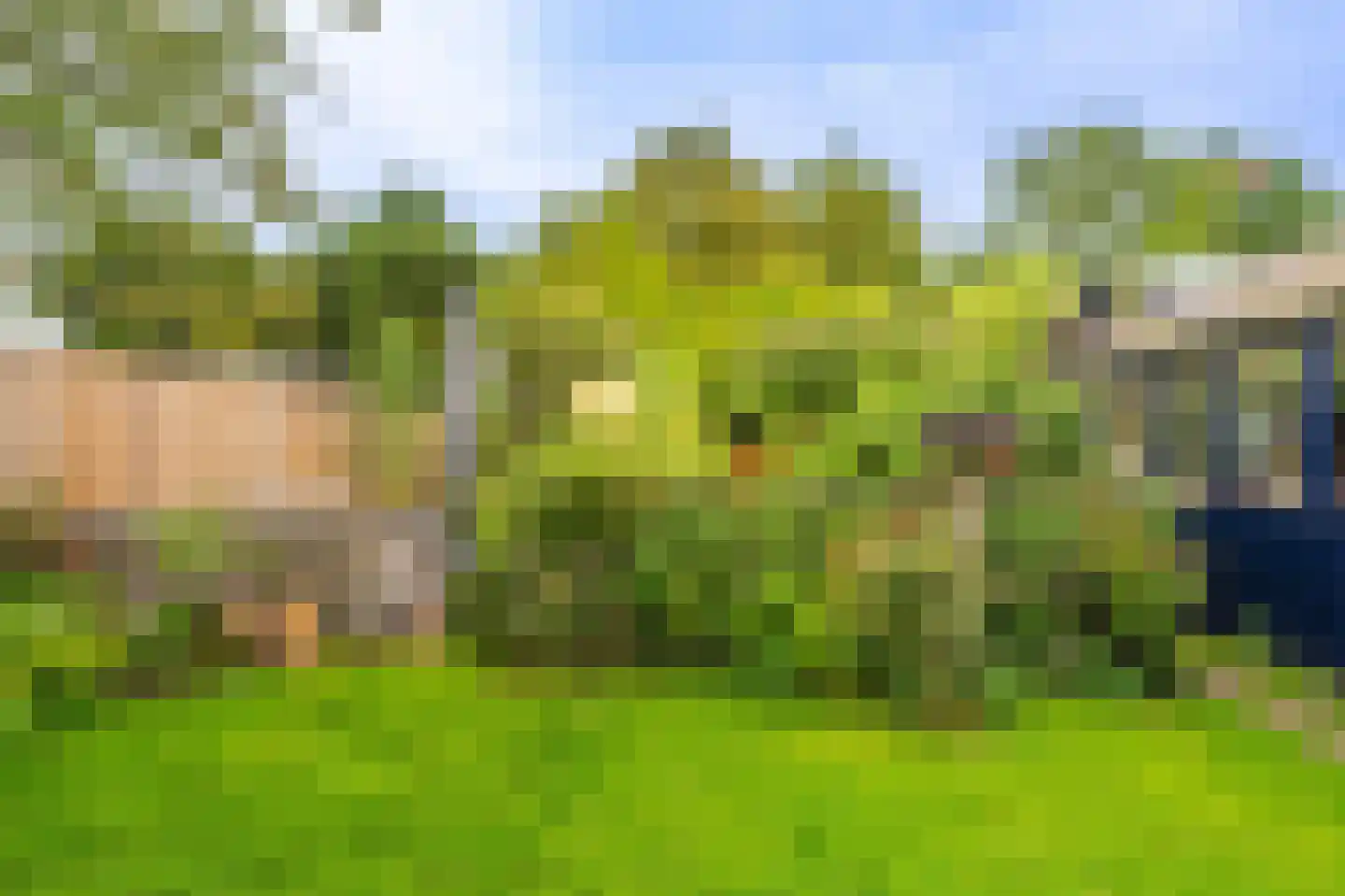 Julianalaan 2 Scheemda thumbnail 40