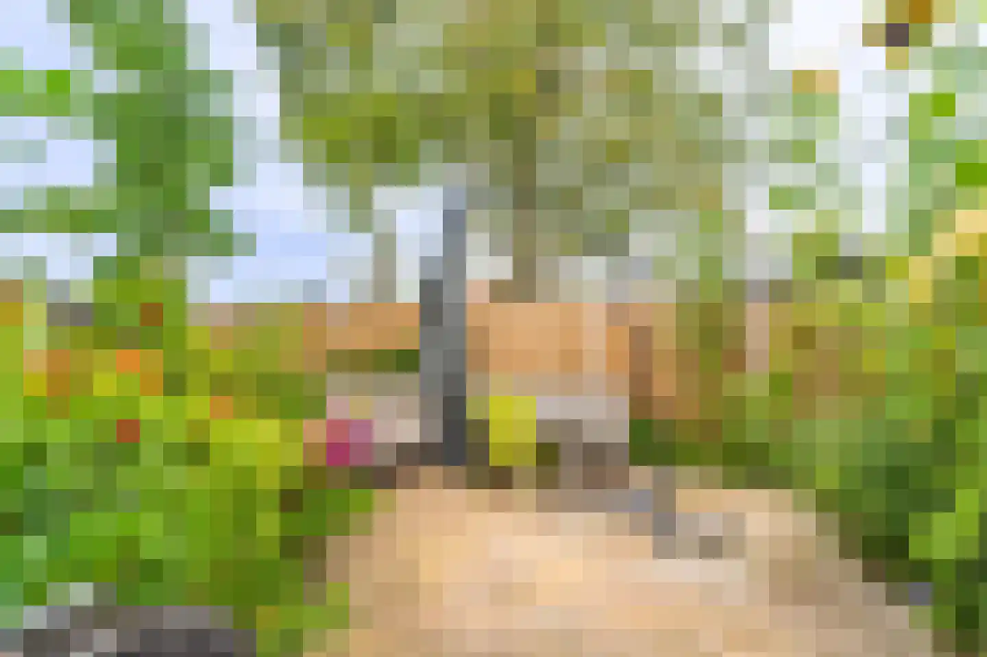 Julianalaan 2 Scheemda thumbnail 41