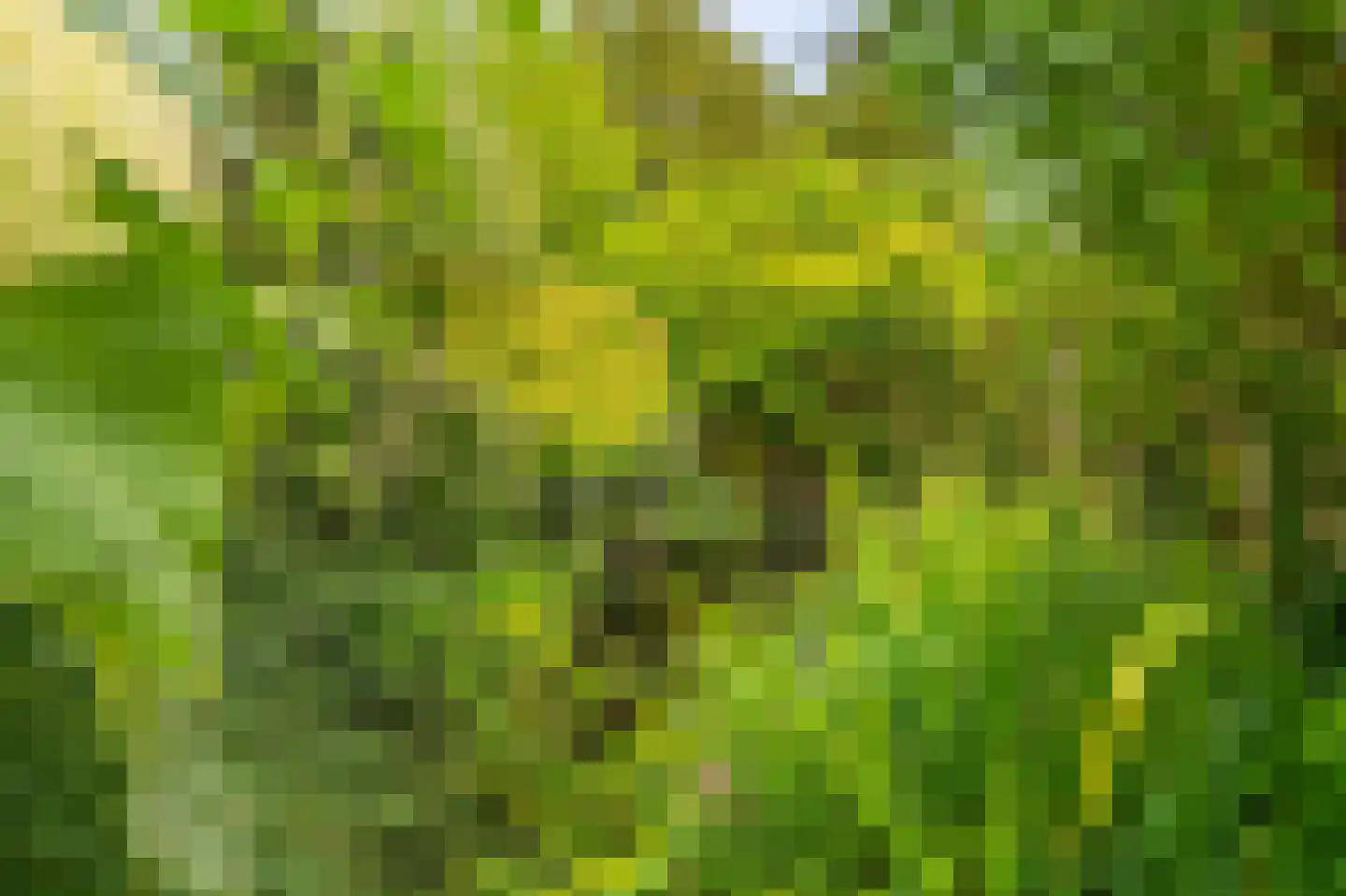Julianalaan 2 Scheemda thumbnail 42