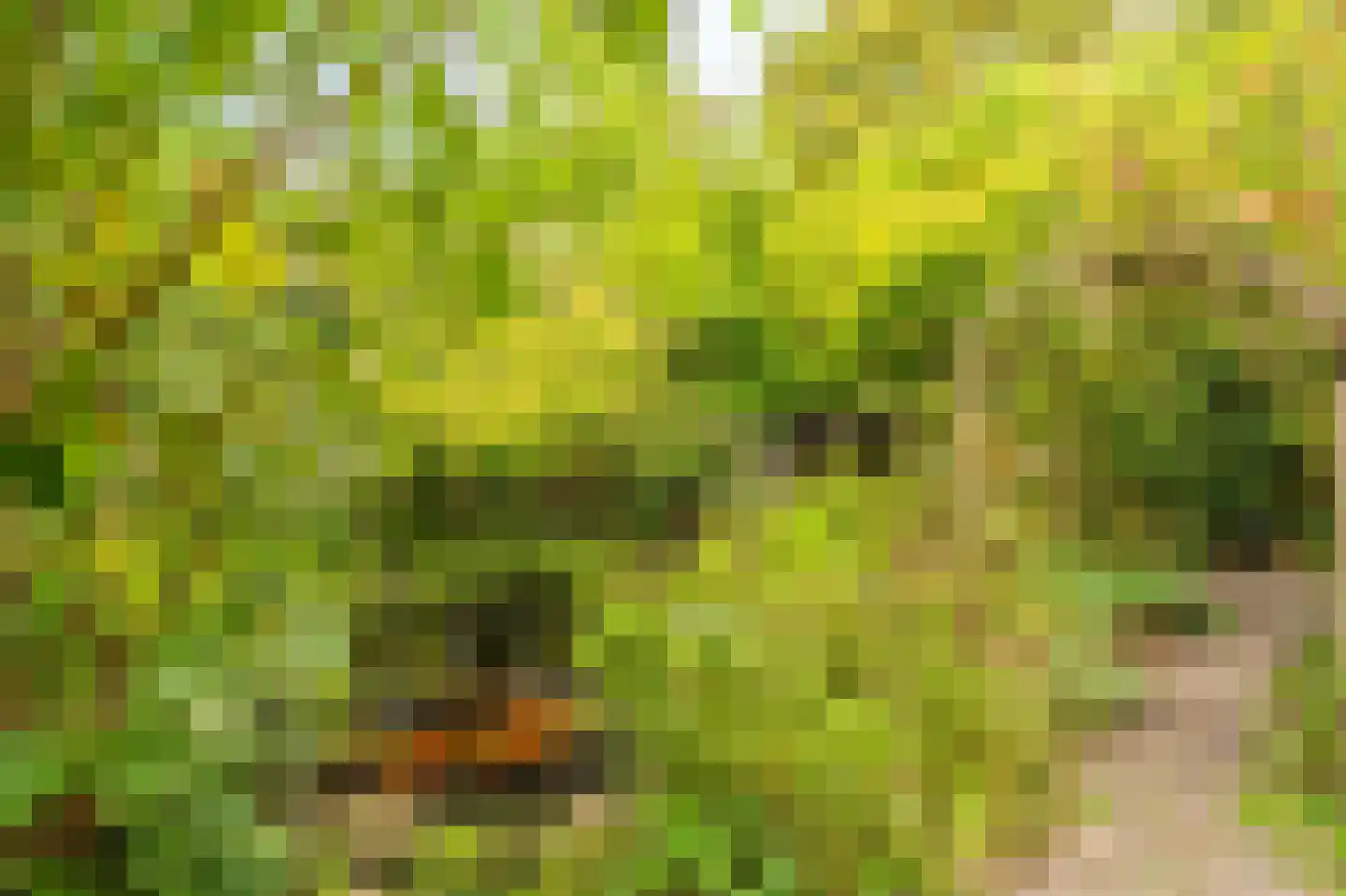 Julianalaan 2 Scheemda thumbnail 43
