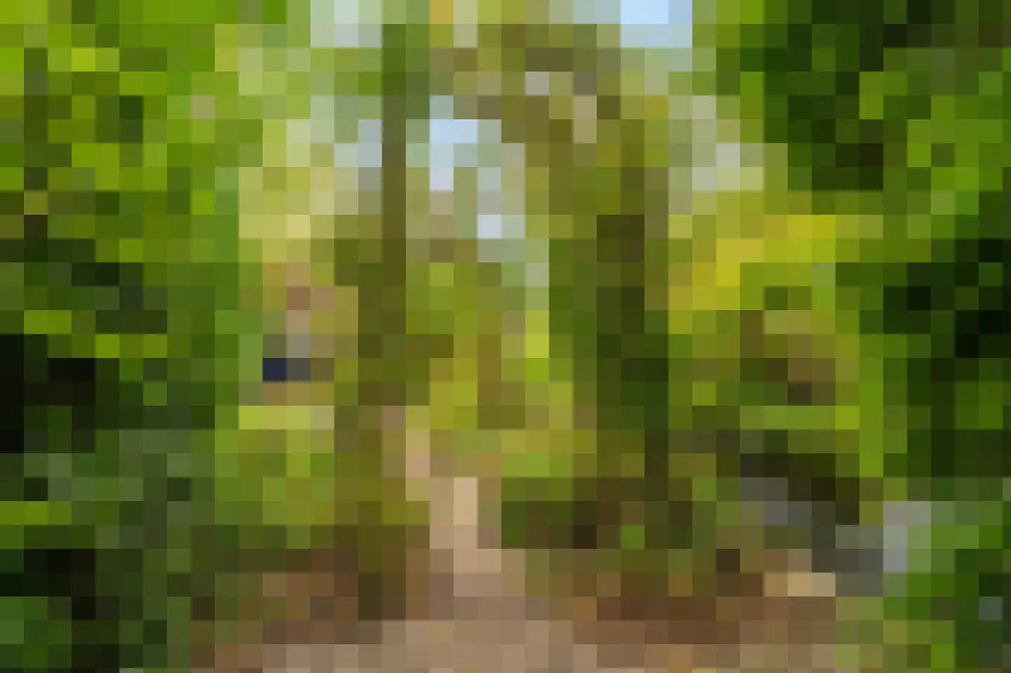 Julianalaan 2 Scheemda thumbnail 44