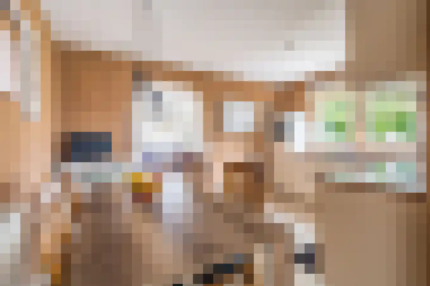 Julianalaan 2 Scheemda thumbnail 8