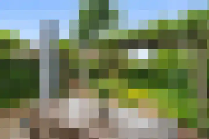 Julianalaan 20 Bennekom thumbnail 10