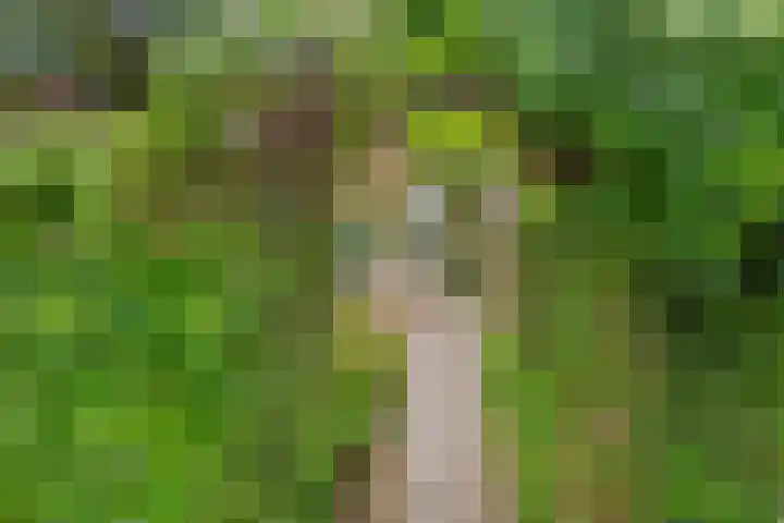 Julianalaan 20 Bennekom thumbnail 12