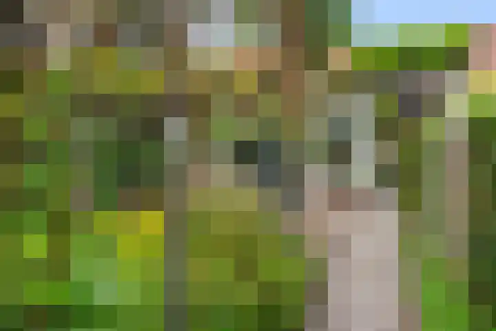 Julianalaan 20 Bennekom thumbnail 13