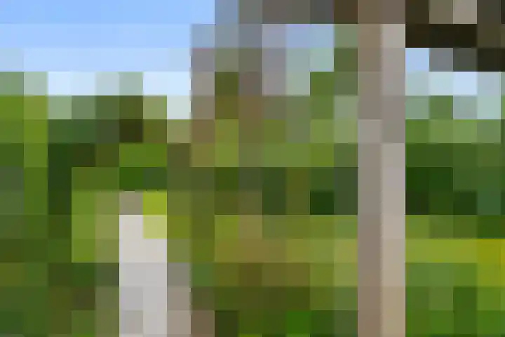 Julianalaan 20 Bennekom thumbnail 14