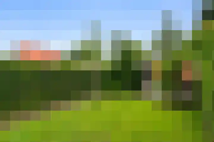 Julianalaan 20 Bennekom thumbnail 16