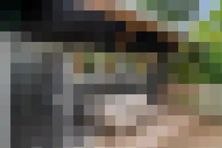 Julianalaan 20 Bennekom thumbnail 18